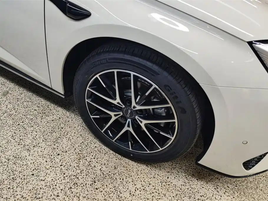 BYD Seal 07 DM-i 2025 DM-i 1.5L 125km Premium фото 6