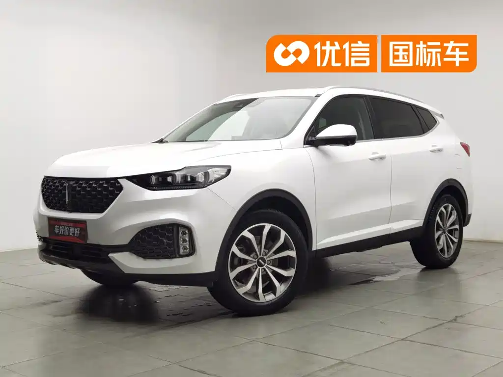 WEY Wey VV6 2020 2.0T 2WD Smart Protection+