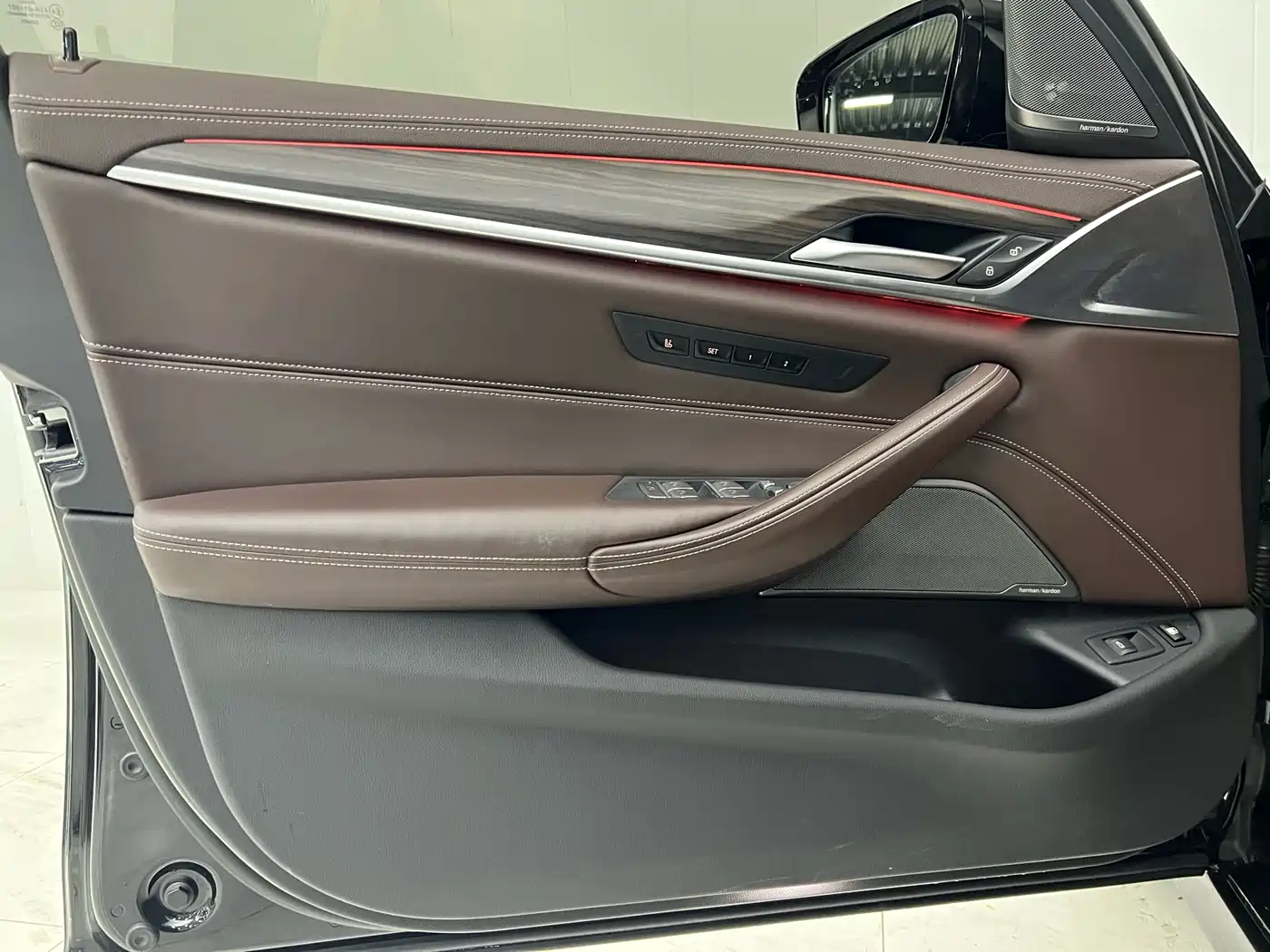 BMW 5 Series New Energy 2020 530Le Range Upgrade Luxury Package фото 10