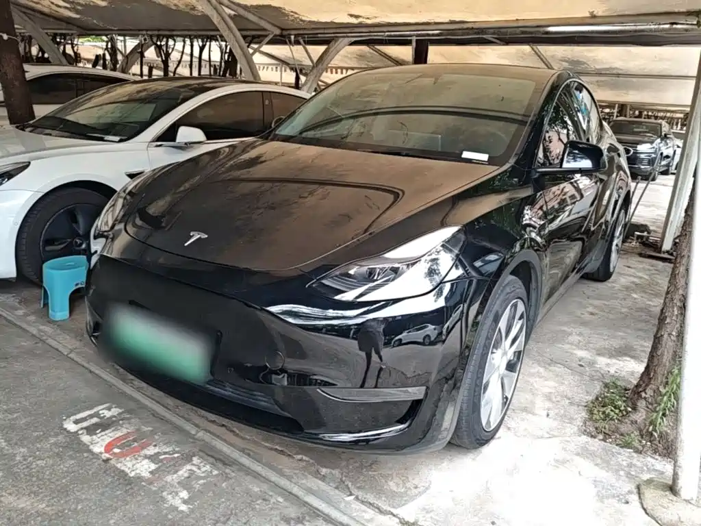 Tesla Model Y 2021 Standard Range Rear-Wheel Drive