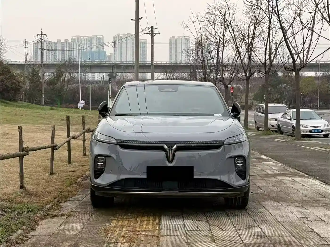 Voyah Auto Voyah Zhiyin 2024 Long Range Super Charging Edition фото 2