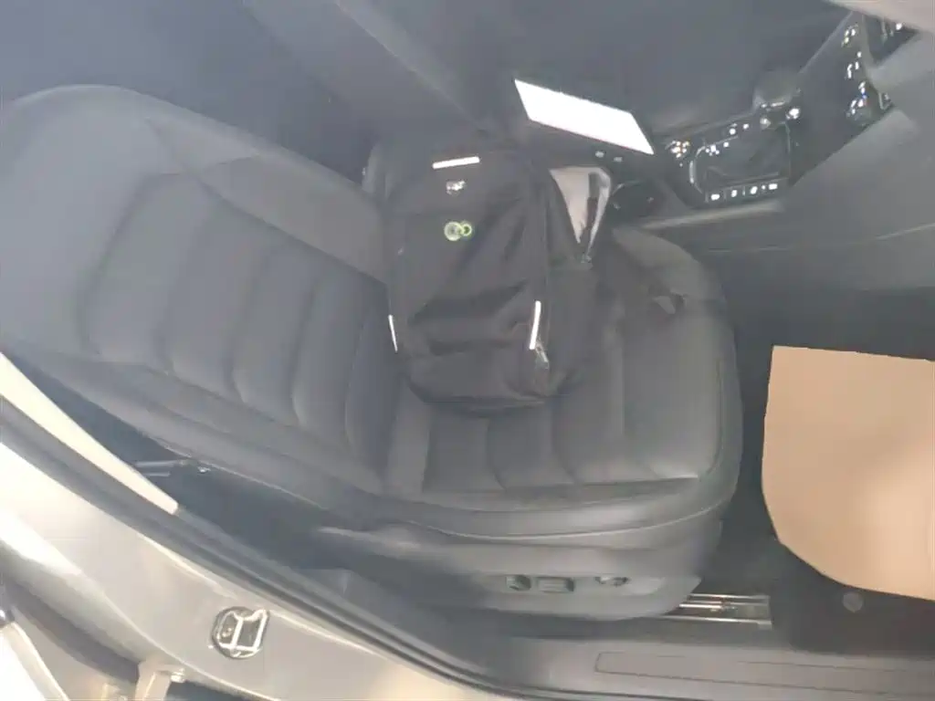 Volkswagen Tiguan L 2019 380TSI Auto AWD Smart Luxury Edition China V фото 25