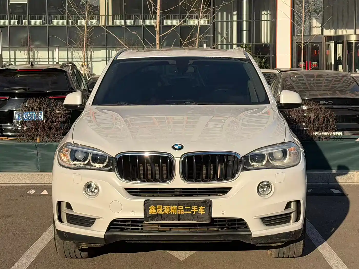 BMW X5 (Import) 2014 xDrive35i Luxury фото 2