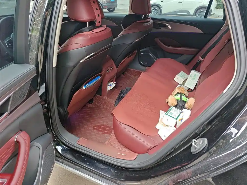 Hongqi H5 2024 2.0T Automatic Smart Connect Flag Smooth Edition фото 13