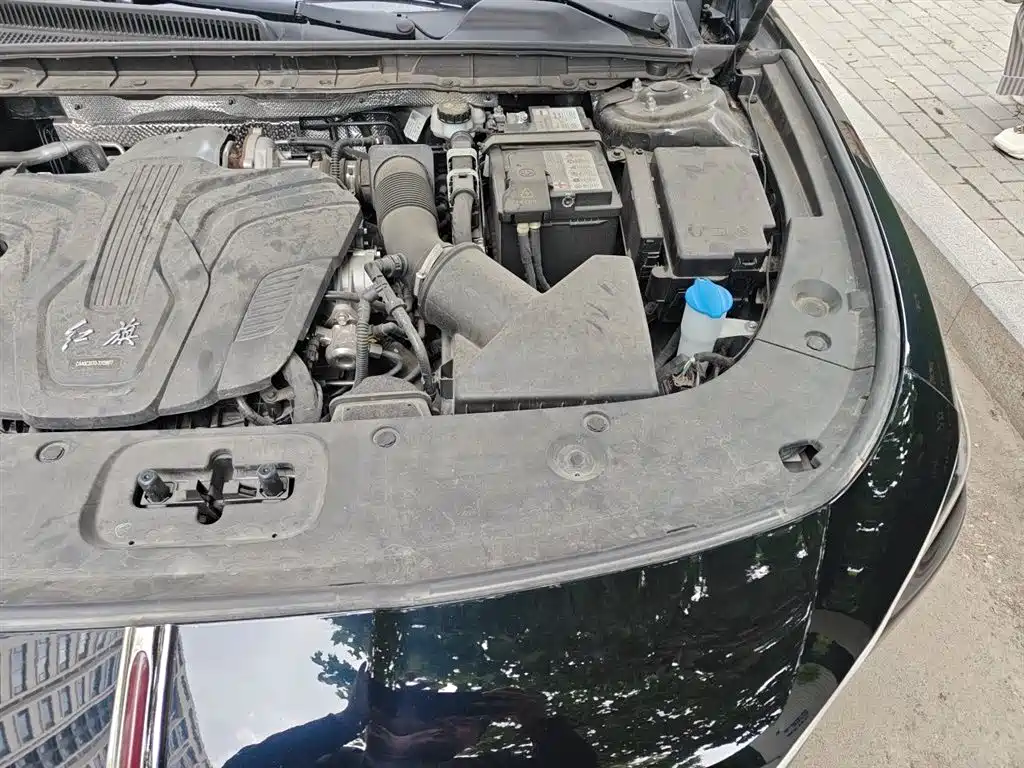 Hongqi H5 2024 2.0T Automatic Smart Connect Flag Smooth Edition фото 23