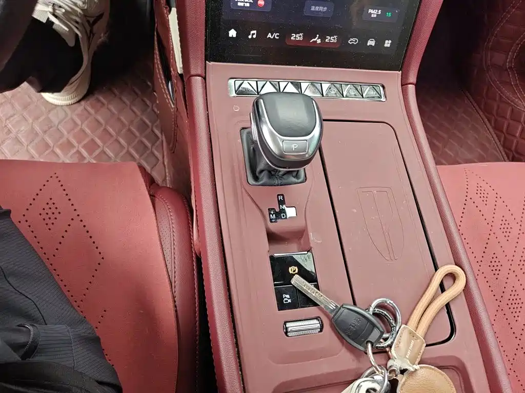 Hongqi H5 2024 2.0T Automatic Smart Connect Flag Smooth Edition фото 10