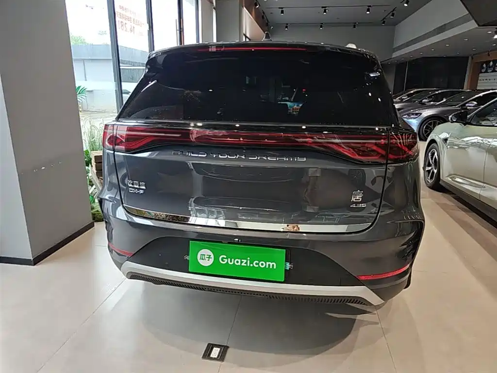 BYD Tang New Energy 2024 DM-p Glory Edition 215KM AWD Premium фото 6
