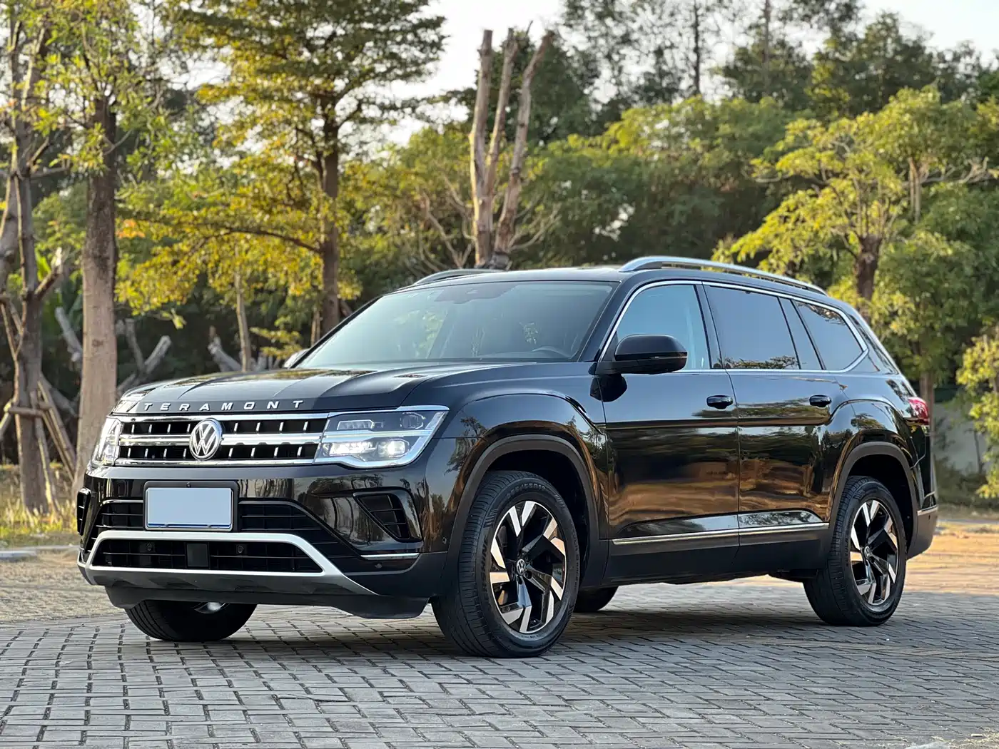 Volkswagen Teramont 2022 330TSI 2WD Premium Luxury