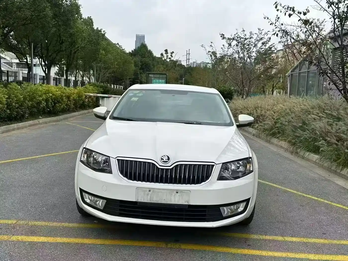 Фото 3 - Škoda Octavia