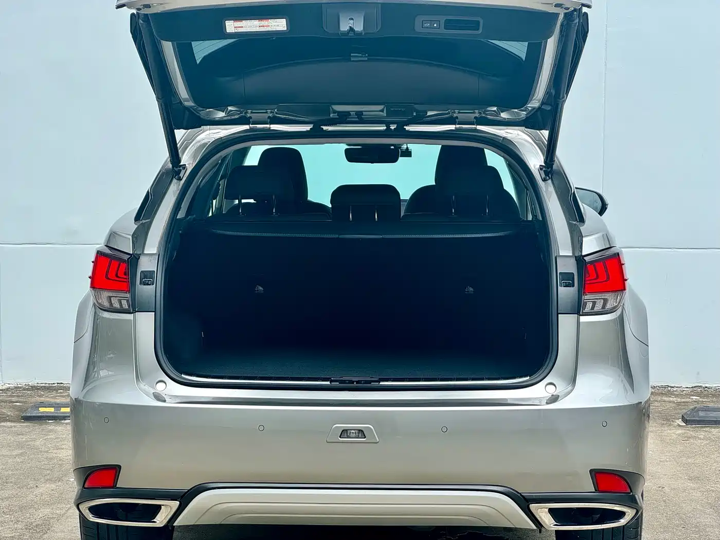 Lexus RX 2020 300 4WD Luxury Edition China VI фото 15