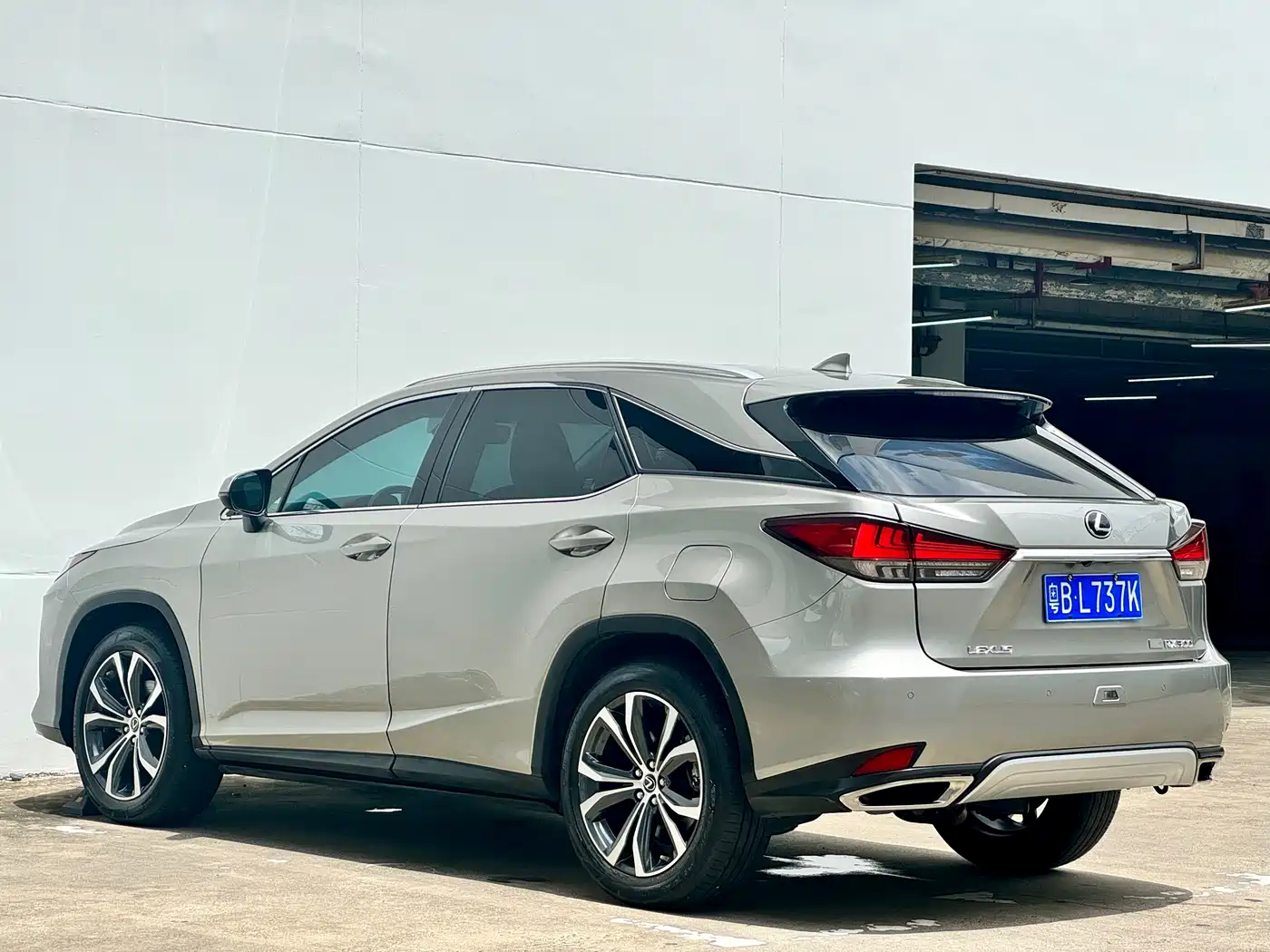 Lexus RX 2020 300 4WD Luxury Edition China VI фото 18