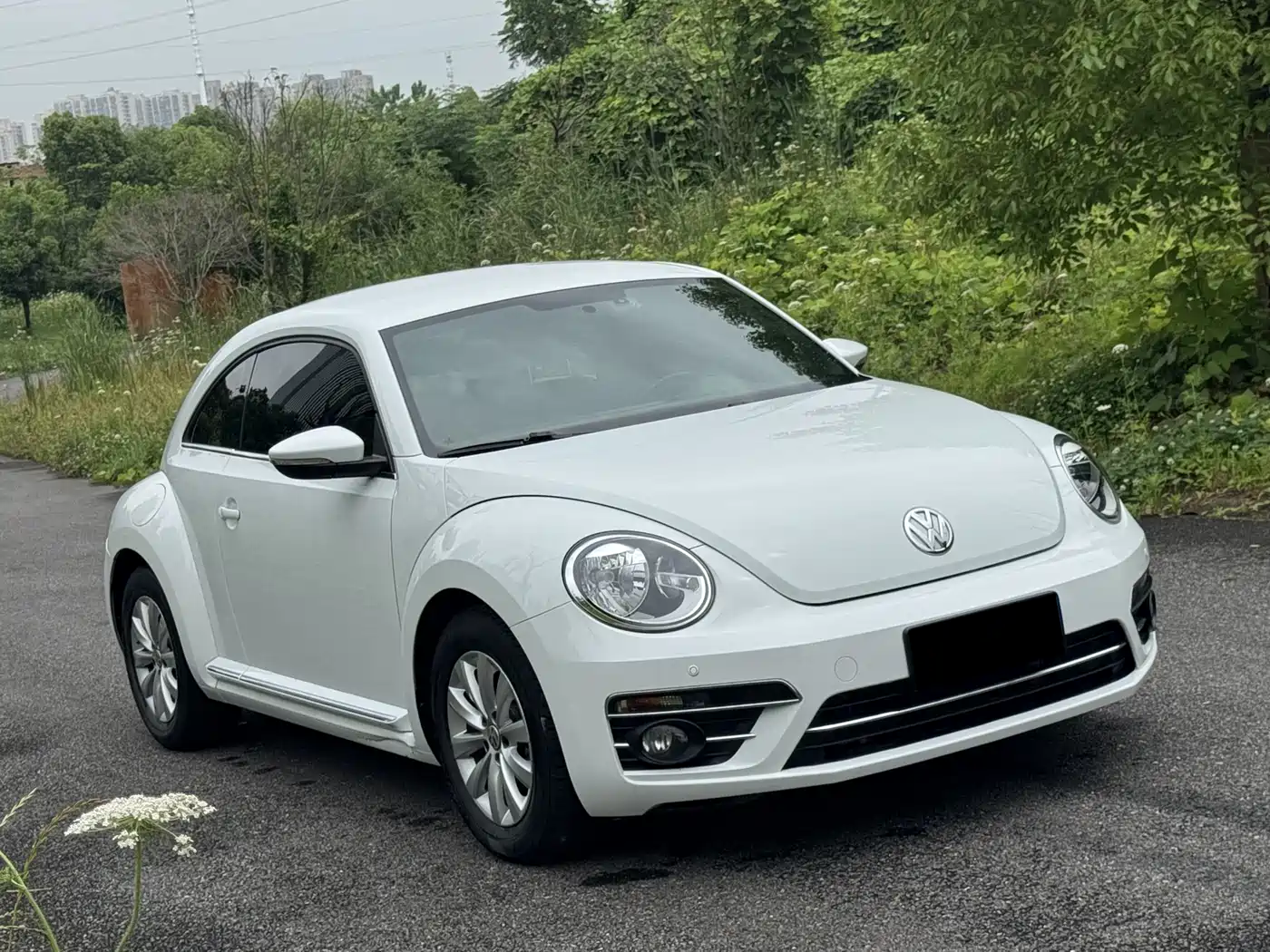 Volkswagen Beetle 2019 180TSI Collector's Edition фото 3