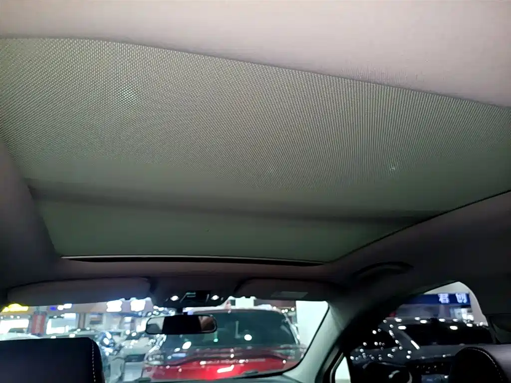 BYD Yuan New Energy 2019 EV360 Smart Connect Edition фото 18