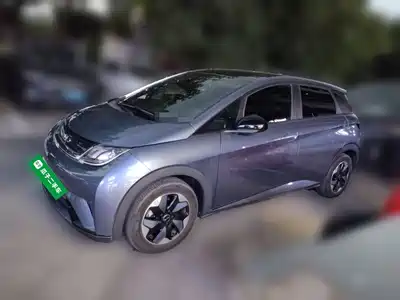BYD Dolphin