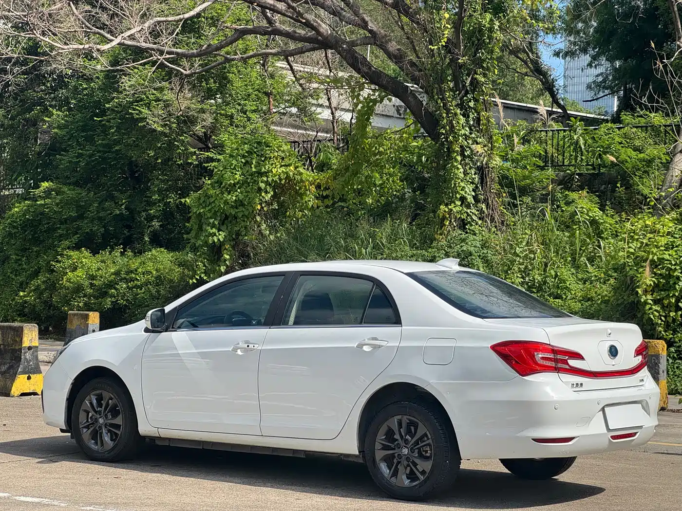 BYD Qin New Energy 2017 1.5T Premium Model фото 4