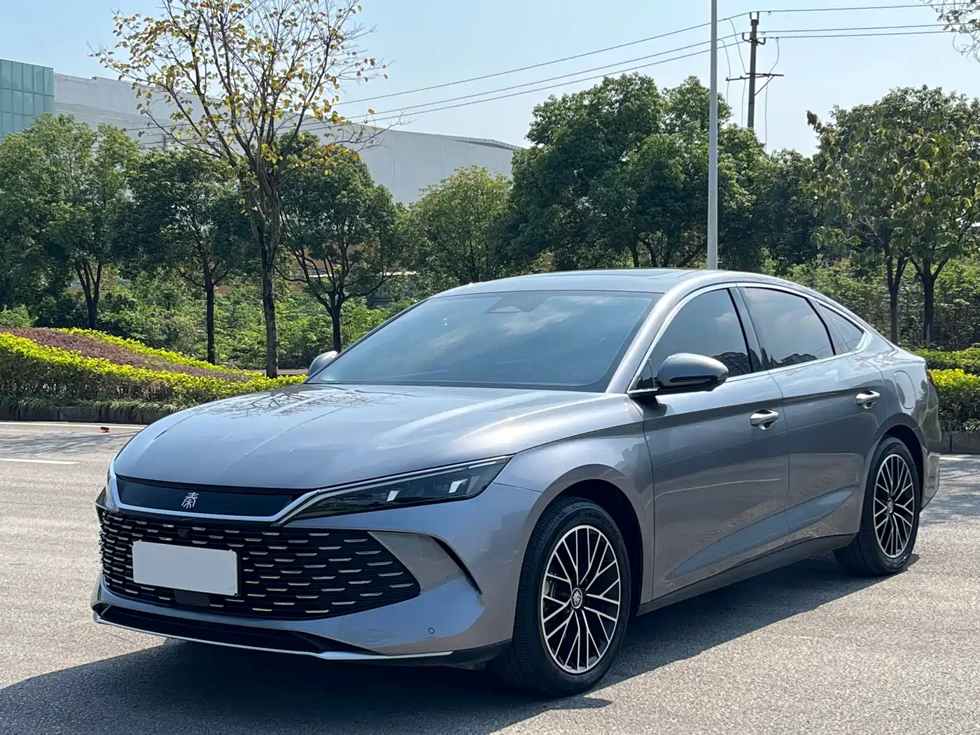 BYD Qin L 2024 DM-i 120KM Excellence Model