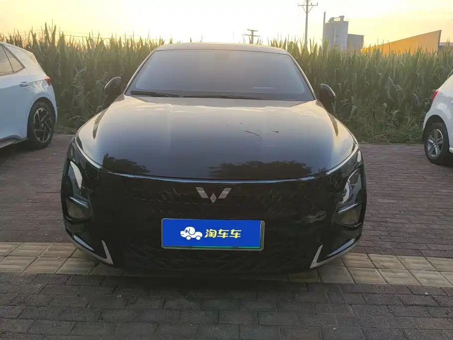 Wuling Motors Wuling Xingguang 2024 2023 70 Standard Edition