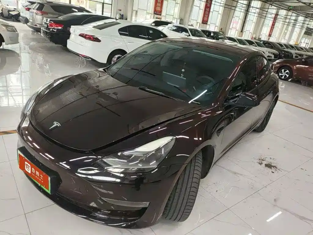 Tesla Model 3 2021