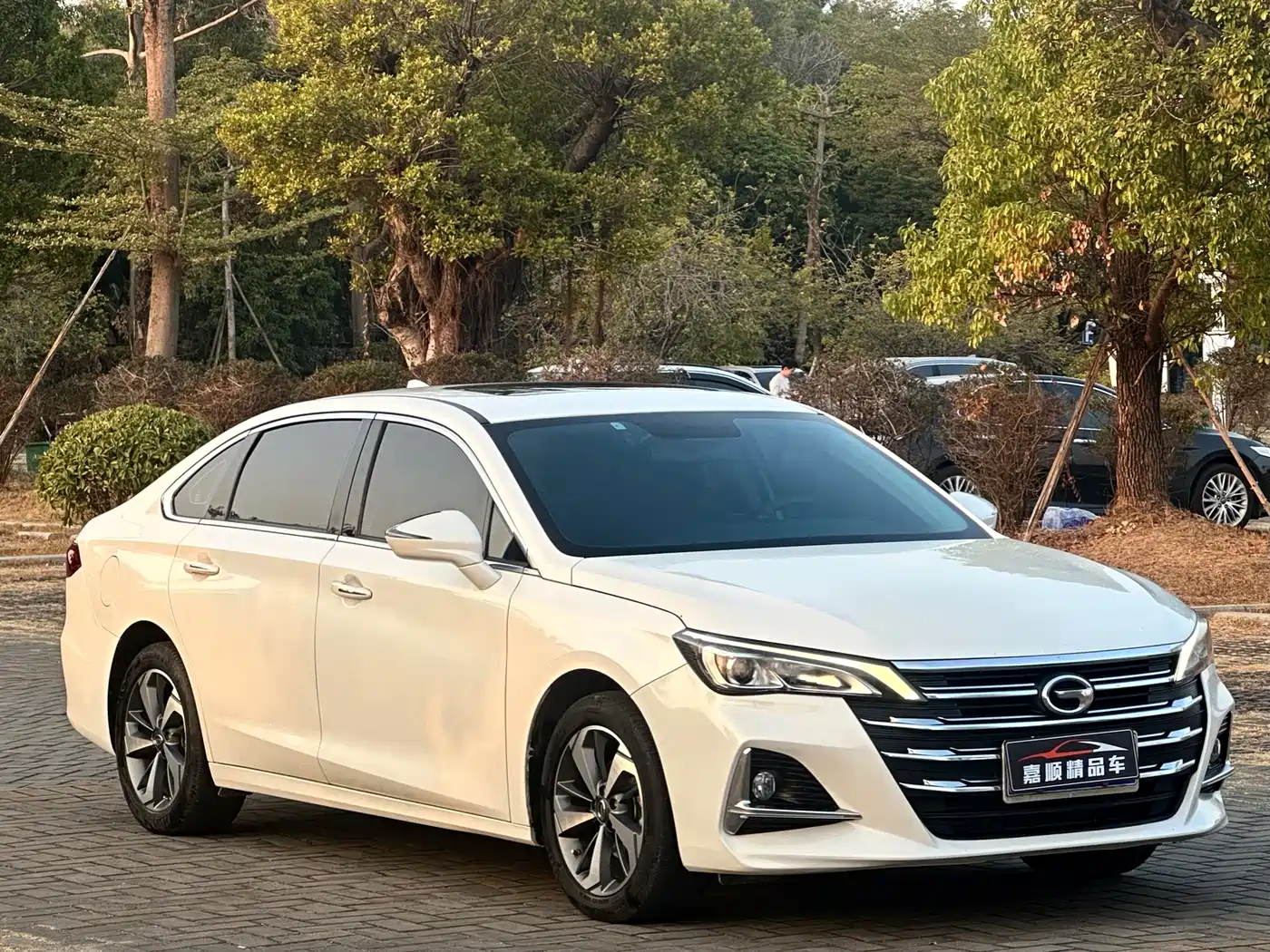 GAC Trumpchi Trumpchi GA6 2019 270T Auto Luxury фото 3