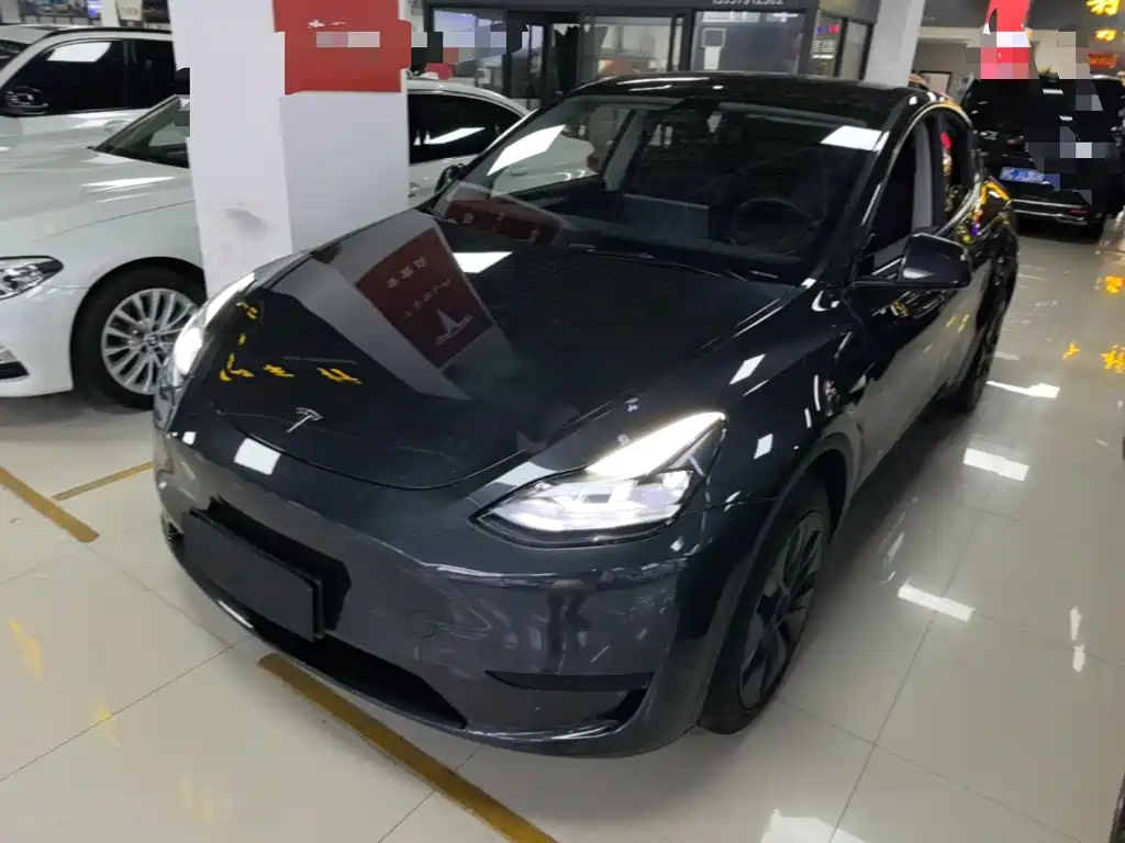 Tesla Model Y 2024 Rear-Wheel Drive Version