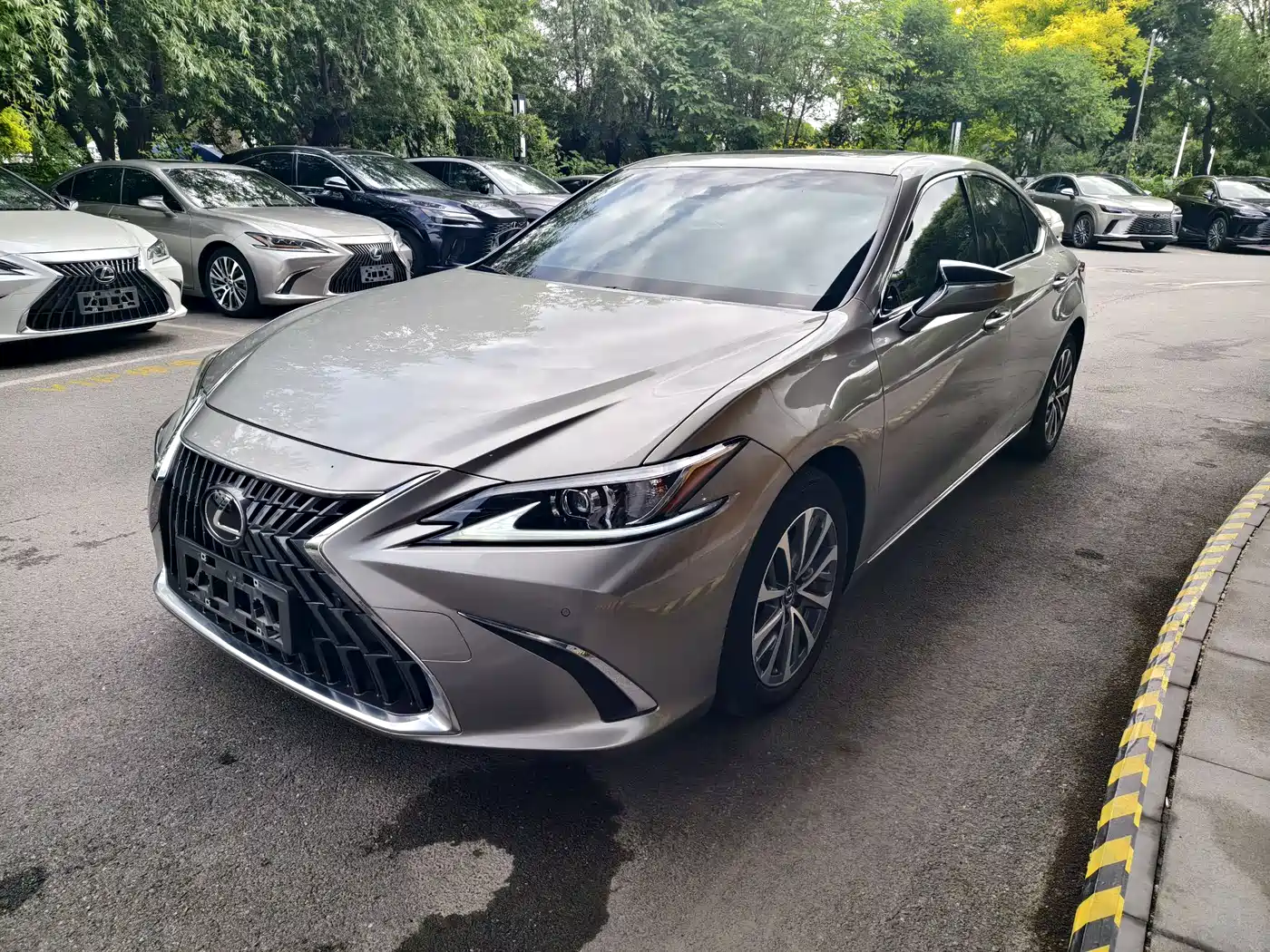 Lexus ES 2023 200 Excellence Edition