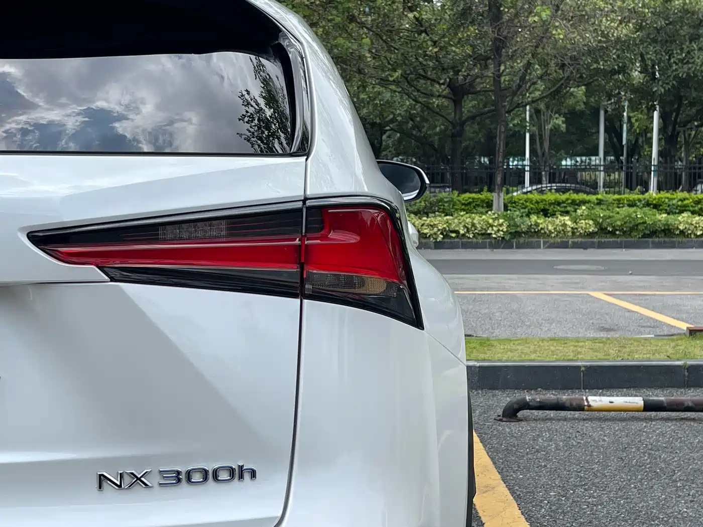 Lexus NX 2020 300h FWD F Sport China VI фото 10