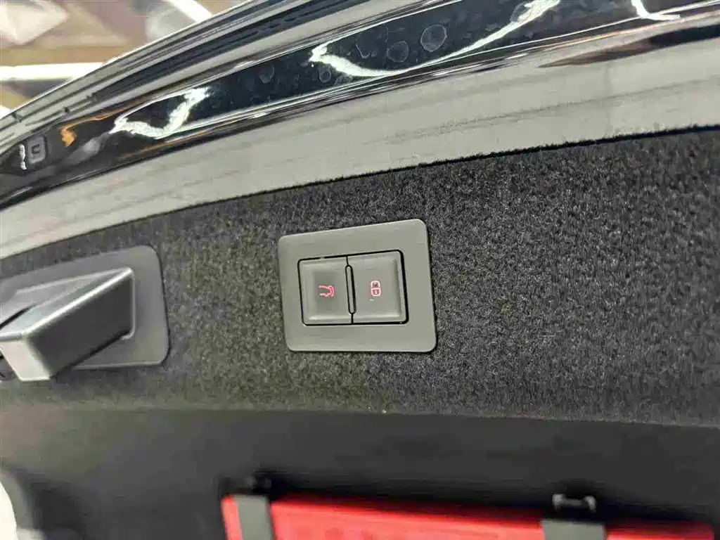 BYD Han 2020 DM AWD Performance Luxury Edition фото 19