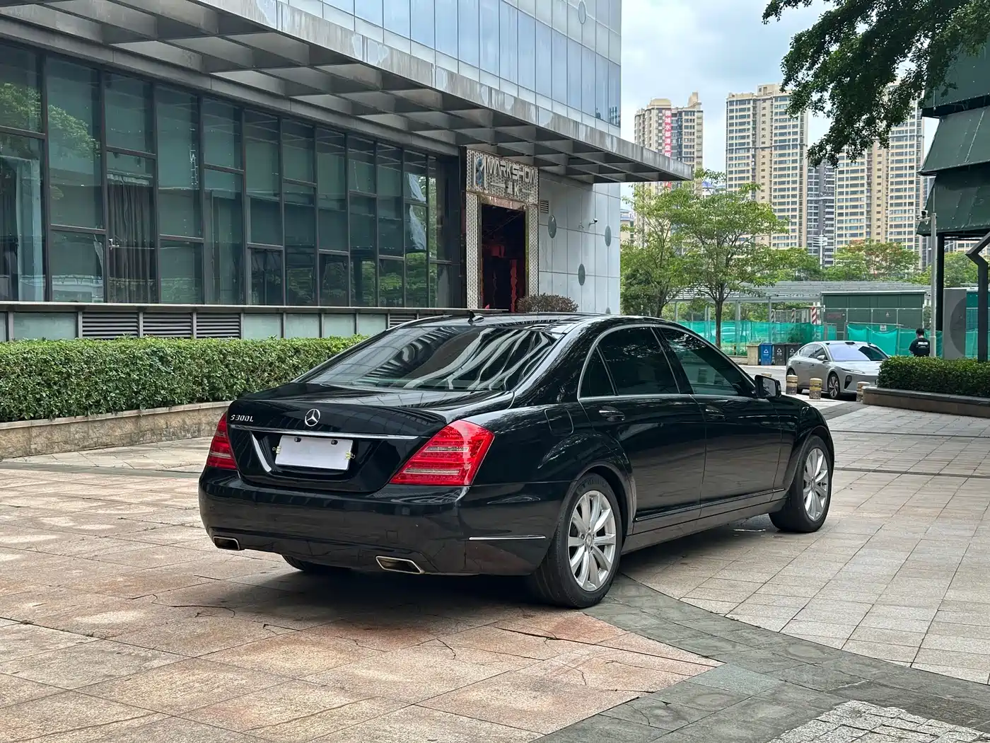 Mercedes-Benz S-Class 2010 S 300 L Business фото 25