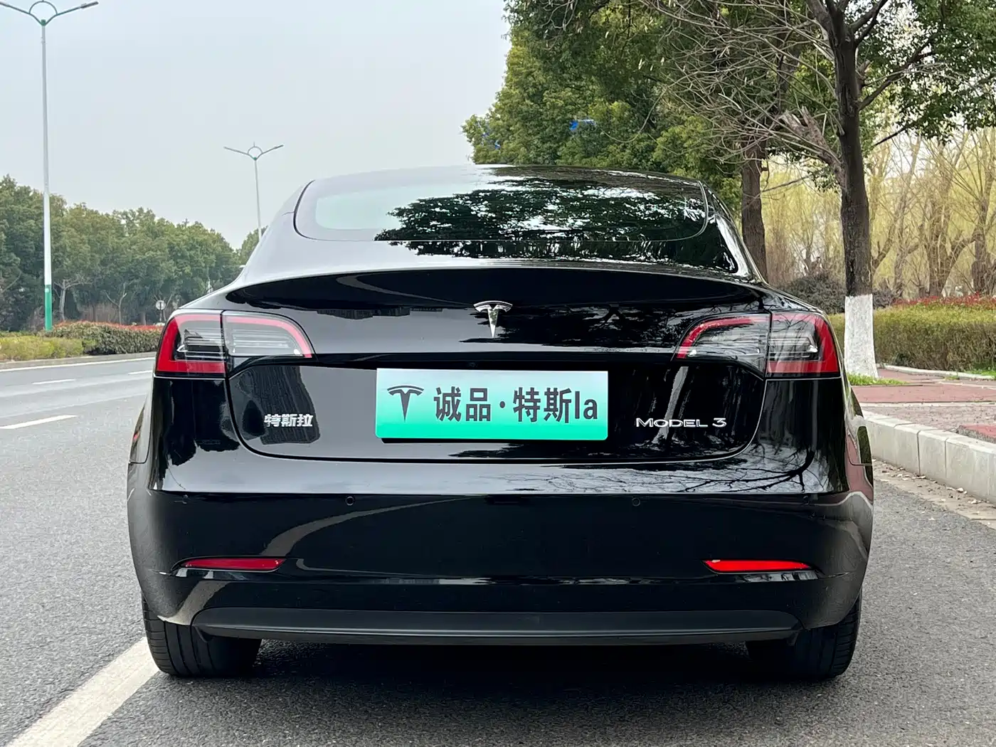 TESLA MODEL 3