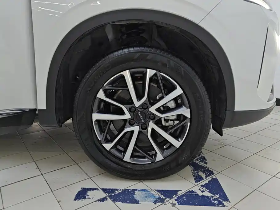 Haval H6 2025 2024 Model 1.5T 2WD Classic Edition