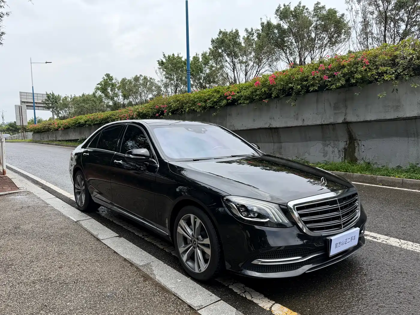 Mercedes-Benz S-Class 2019 S 350 L Luxury фото 3