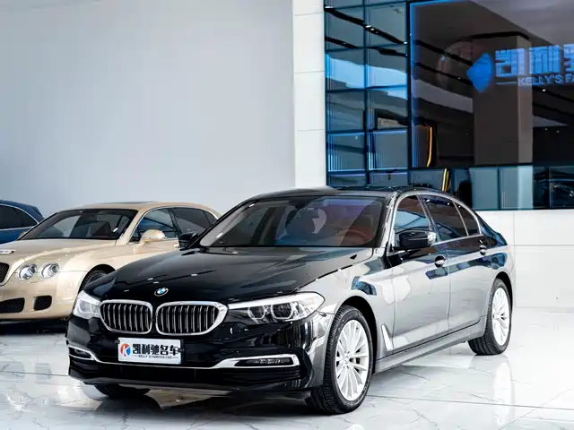 BMW 5 SERIES