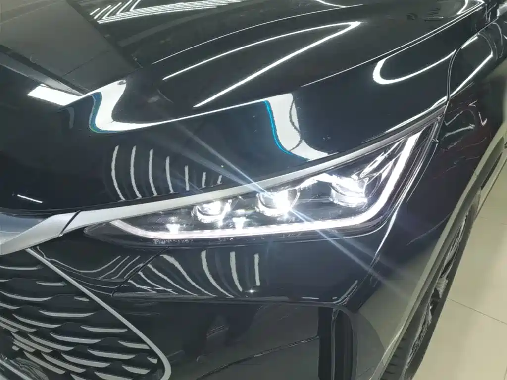 BYD Tang New Energy 2024 DM-p Glory Edition 215KM AWD Premium фото 24