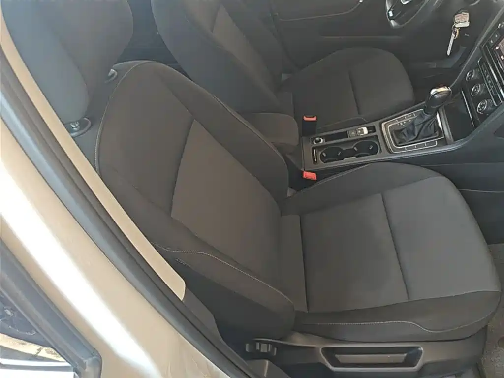 Volkswagen Golf 2019 200TSI DSG Comfort Progressive China VI фото 25