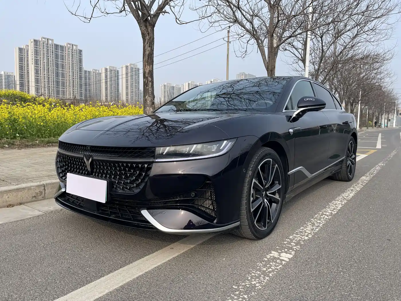 Voyah Auto VOYAH Zhuiguang 2024 PHEV AWD Ultra Long Range Flagship