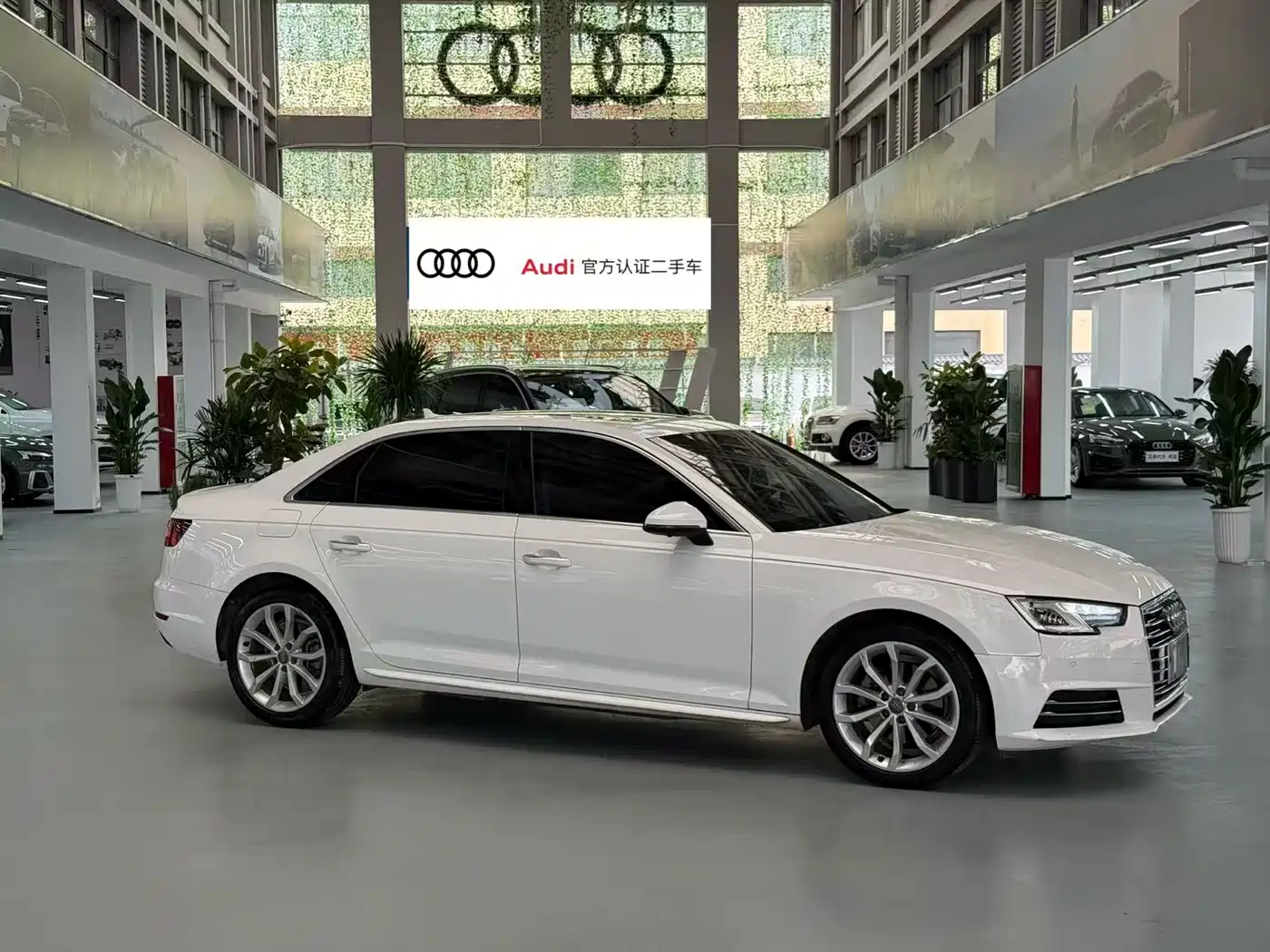 Audi A4L 2018 30th Anniversary 40 TFSI Progressive фото 2