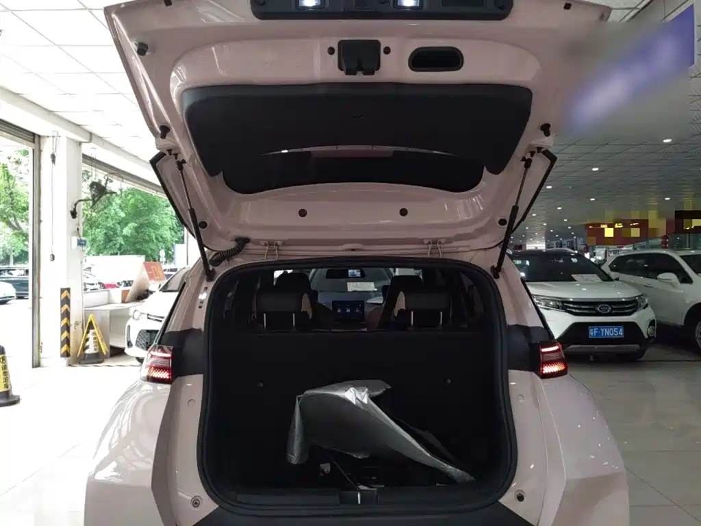 BYD Seagull 2023 Vitality Edition фото 16
