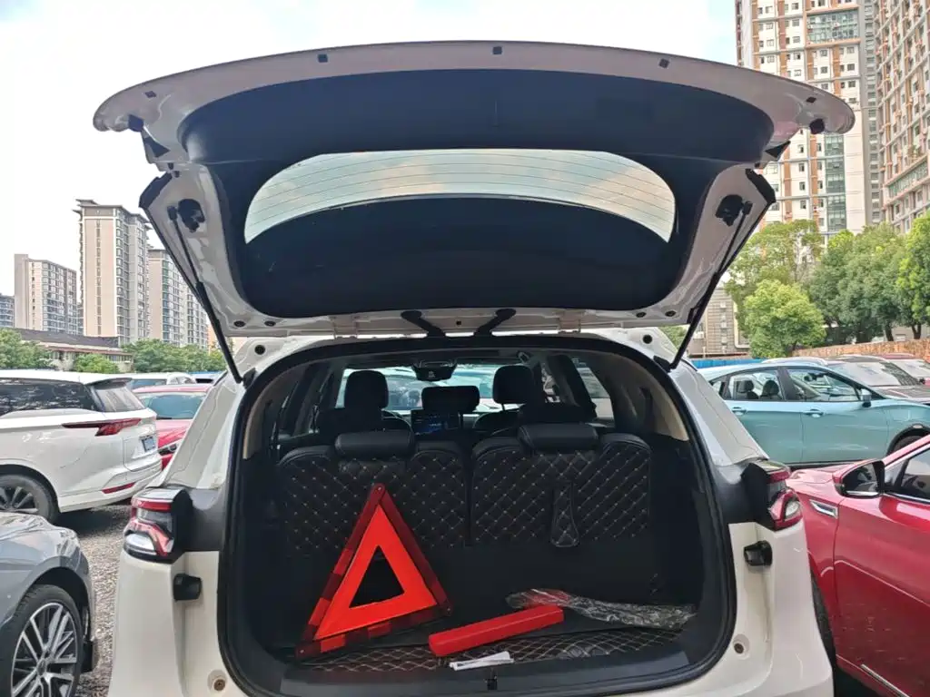 BYD Tang 2018 2018 2.0T Automatic Smart Connection Noble Edition 7-Seater China V