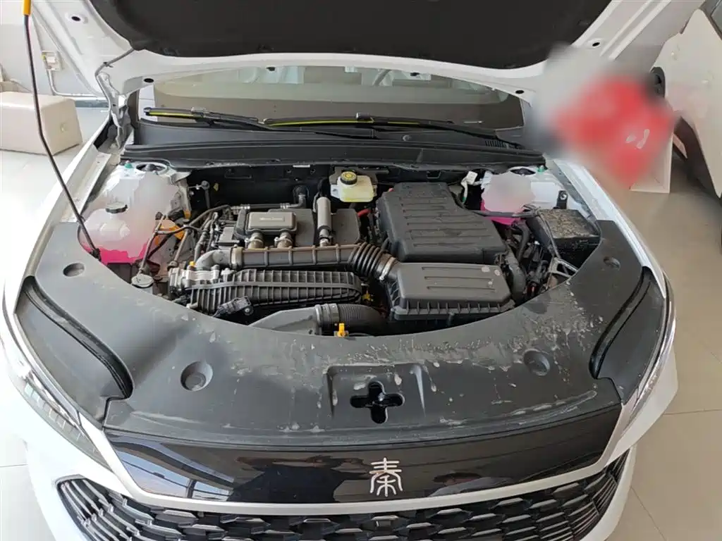 BYD Qin PLUS 2026 DM-i Smart Edition 128KM Progressive фото 20