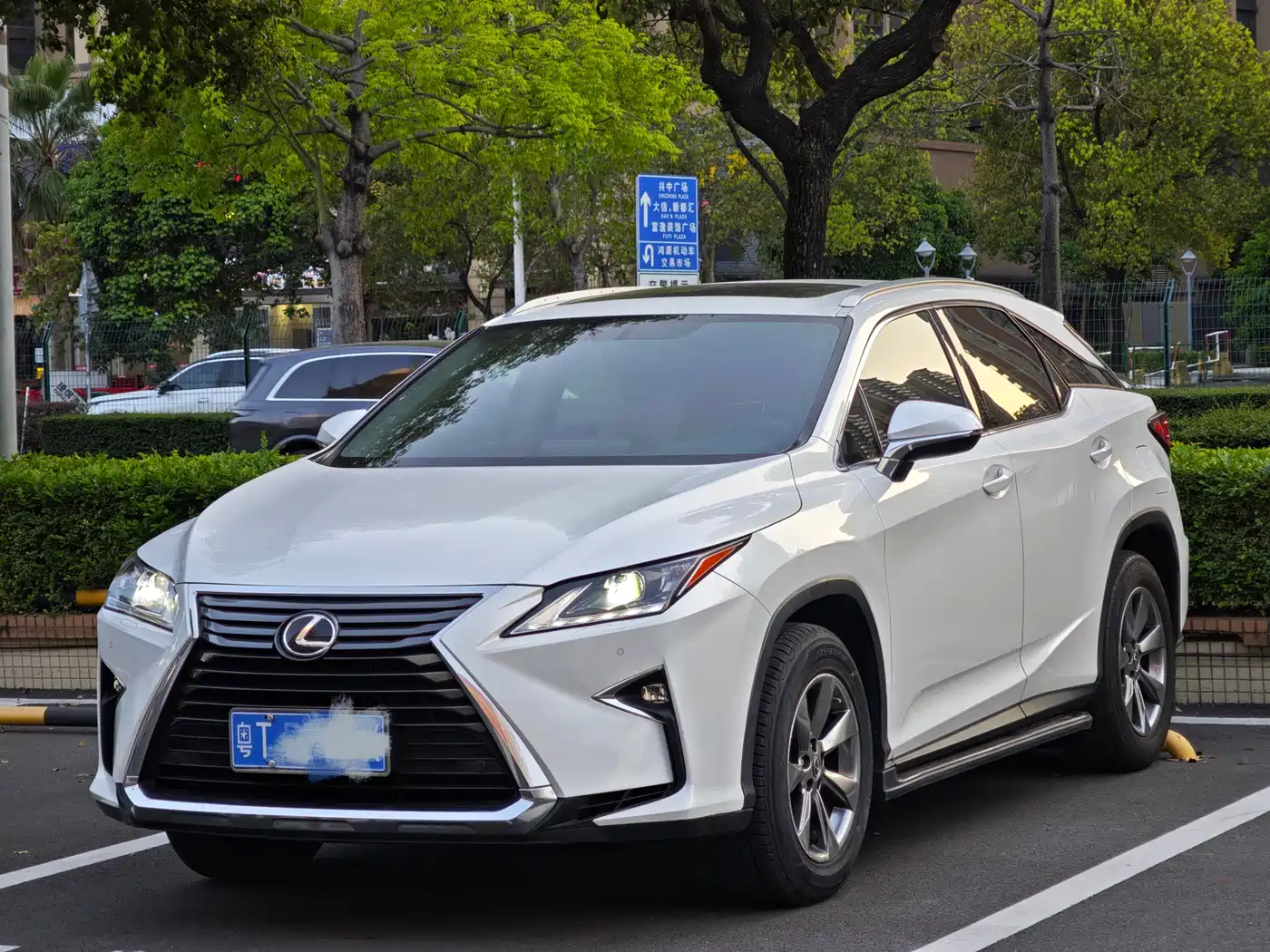 Lexus RX 2016 300 2WD Elite Edition (China V) фото 3