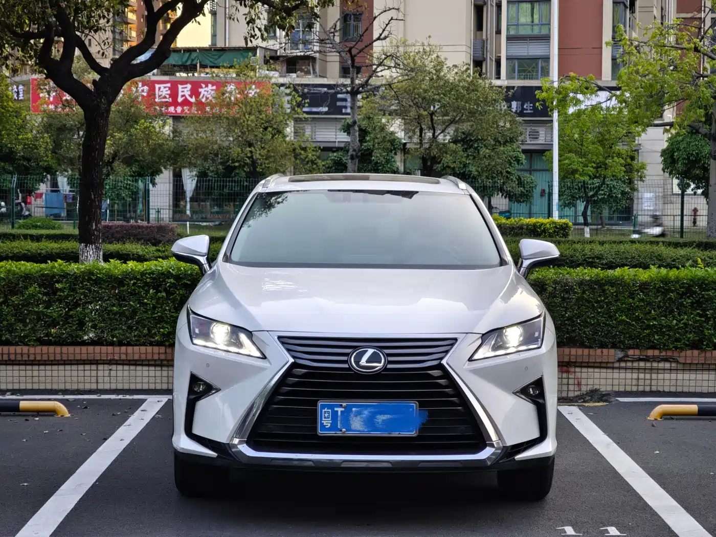 Lexus RX 2016 300 2WD Elite Edition (China V)
