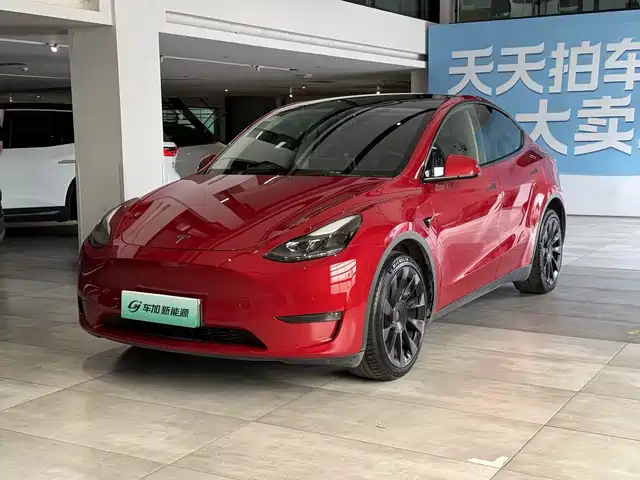 Tesla Model Y Увеличенный запас хода, полный привод