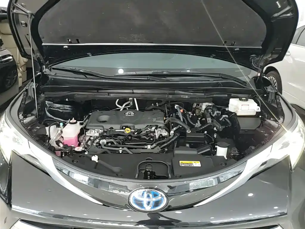 Toyota Sienna 2021 2.5L Hybrid Platinum Edition фото 20