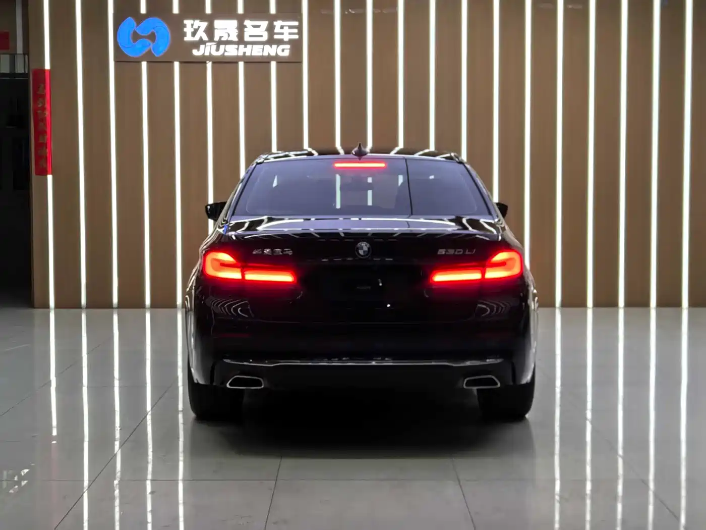 BMW 5 Series 2022 Facelift II 530Li Luxury Trim Premium Package фото 18