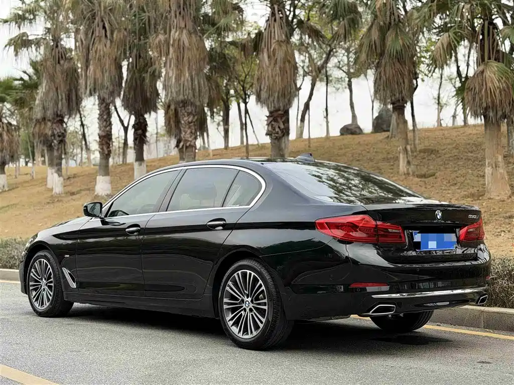 BMW 5 Series 2018 530Li Exclusive Luxury Package фото 16