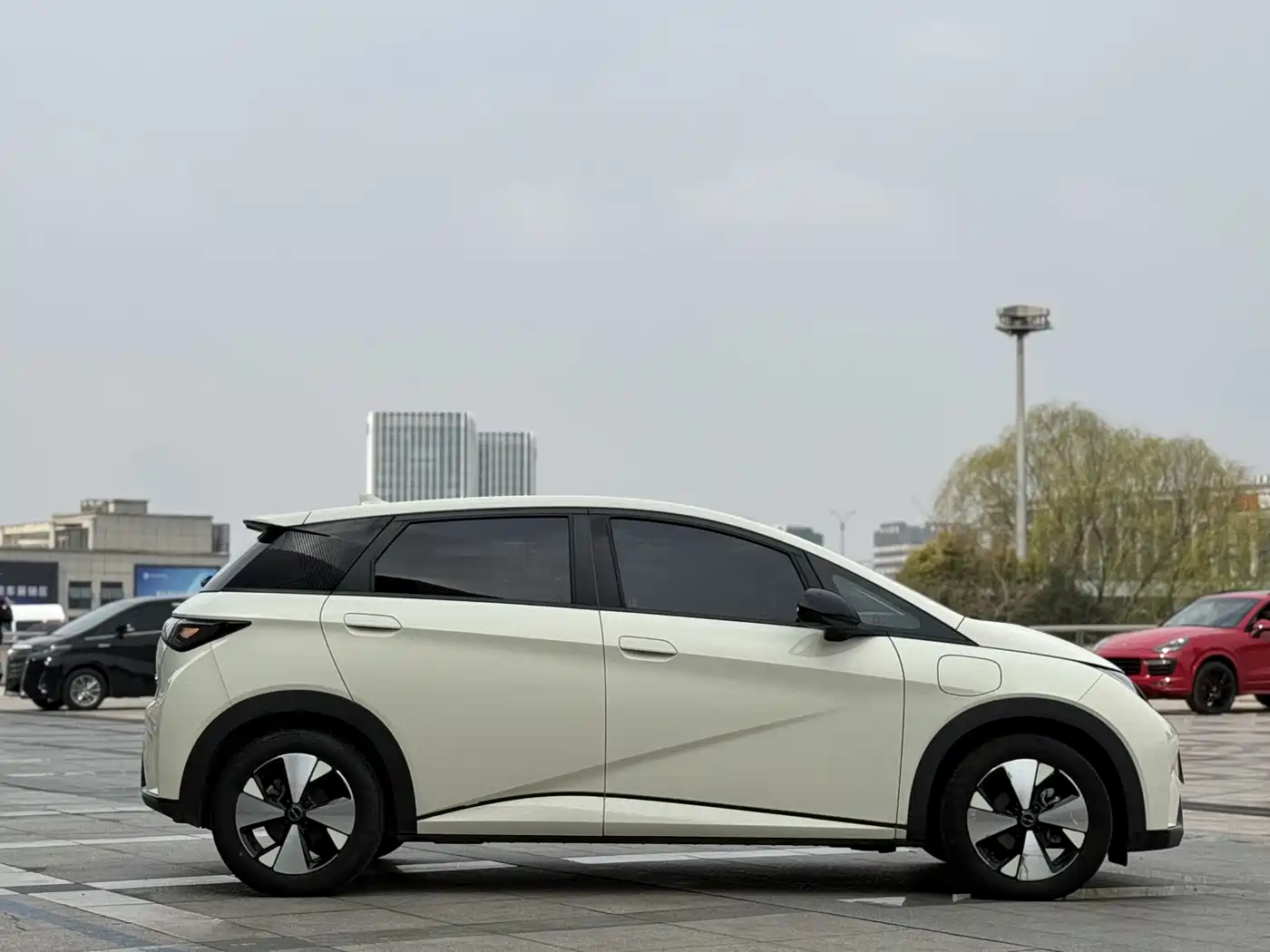 BYD DOLPHIN
