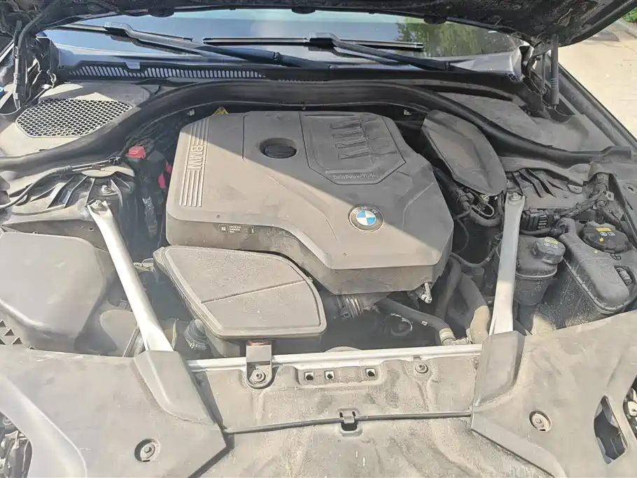 BMW 5 Series 2021 530Li xDrive Luxury Package фото 10