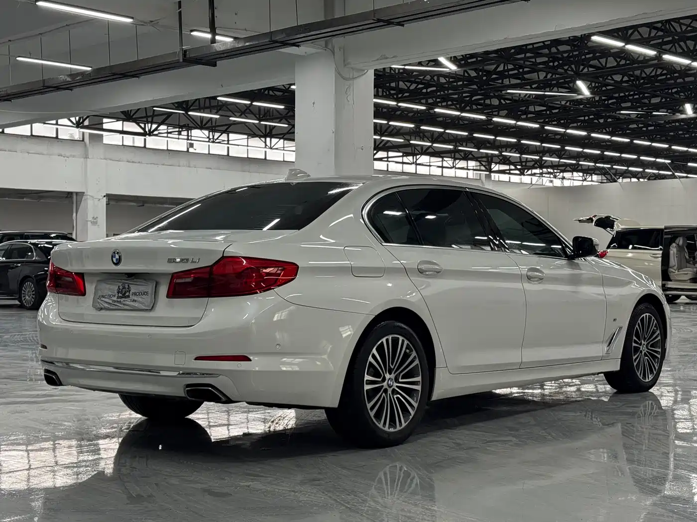 BMW 5 Series 2019 530Li Premium Luxury Package фото 9