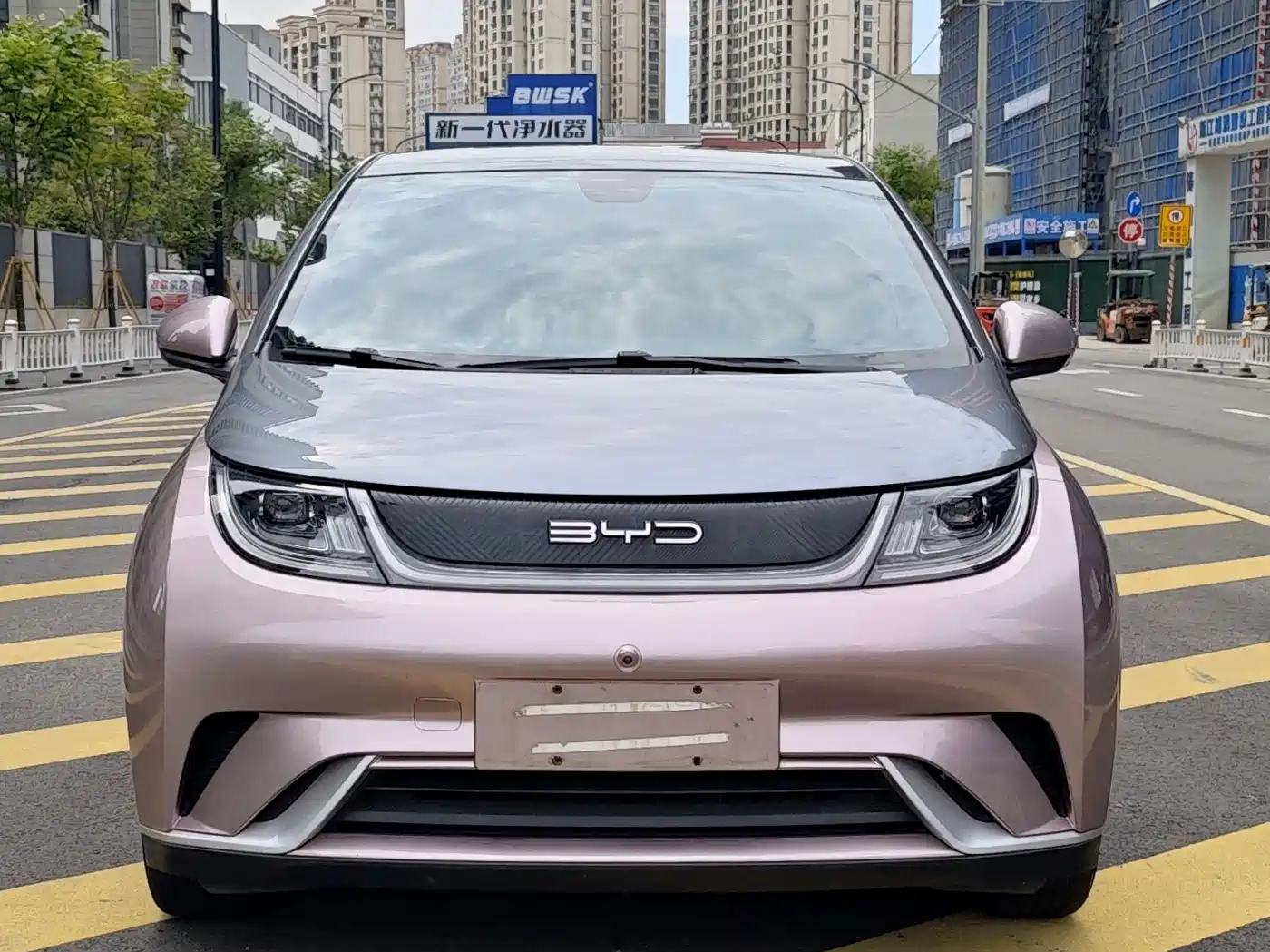 BYD Dolphin 2021 Model 405km Fashion Edition фото 8