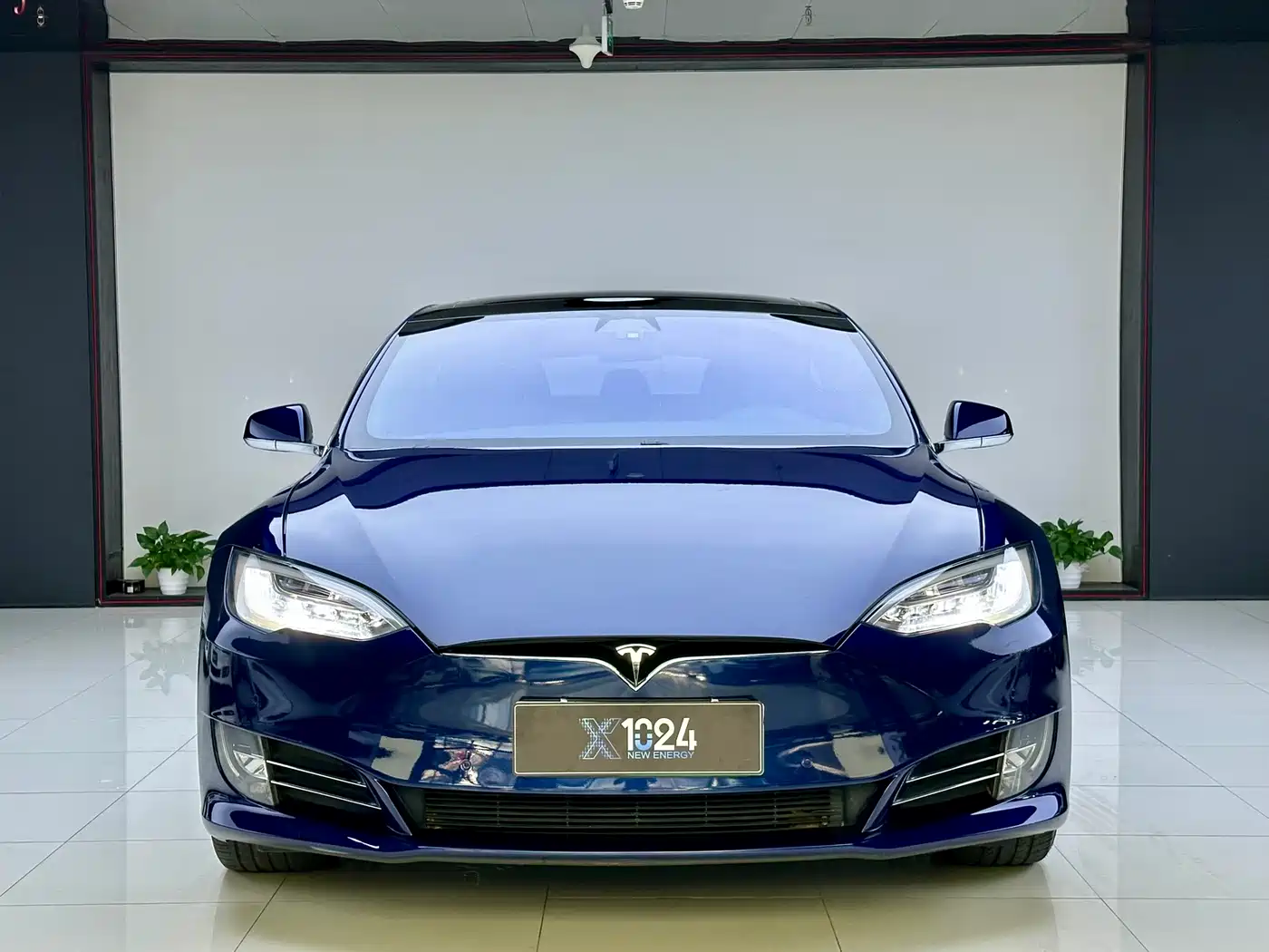 TESLA MODEL S